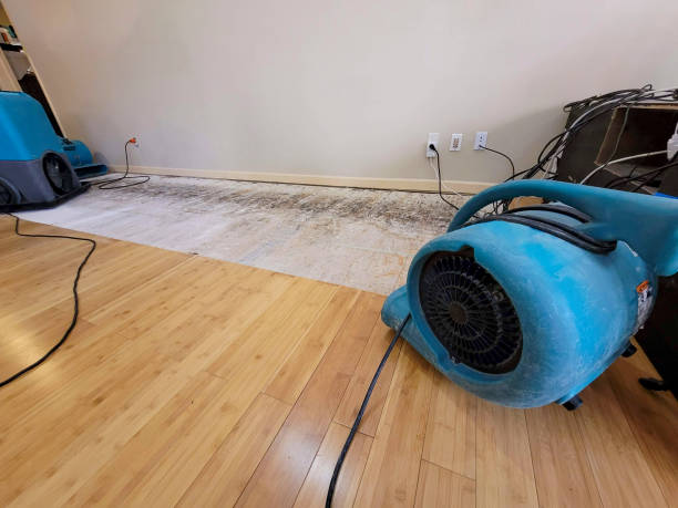 Professional Burst Pipe Water Damage technician working in Enola, PA